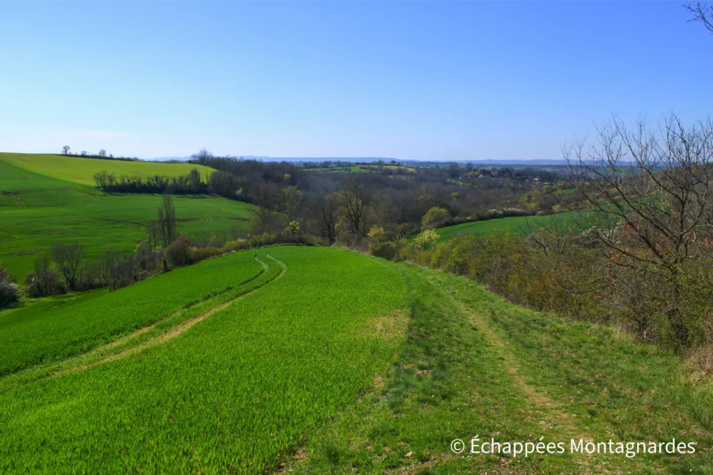 Rieux-Volvestre balcon des Pyrénées - Je marche dans des paysages vallonnés, sans difficulté majeure si ce n'est quelques chemins boueux