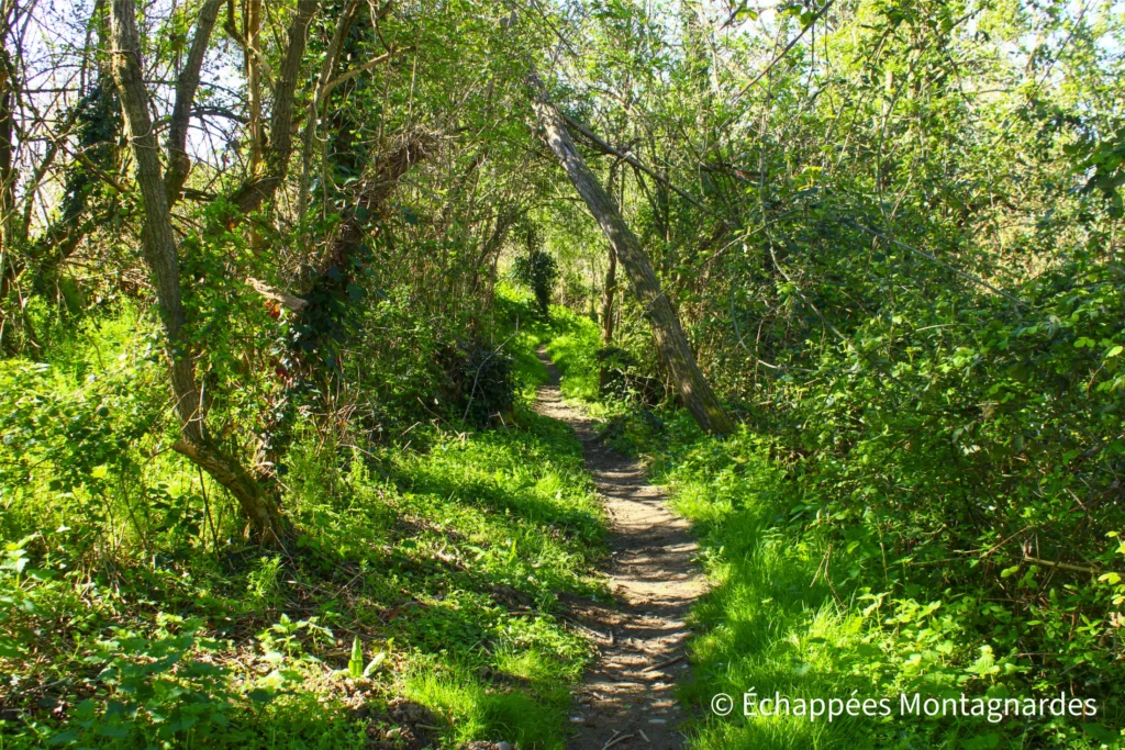 De Rieux-Volvestre au village gaulois - Cette randonnée emprunte quelques superbes sentiers...