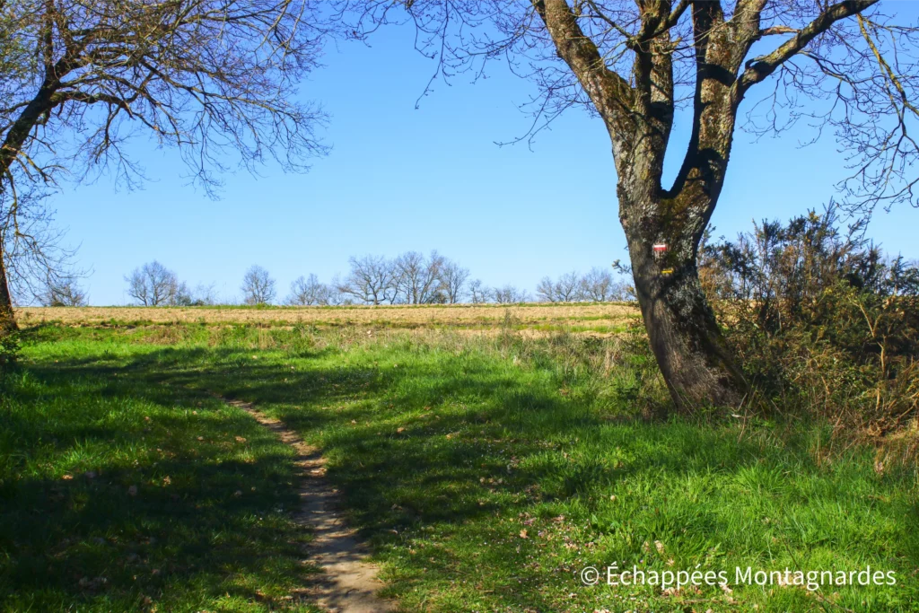 De Rieux-Volvestre au village gaulois - La randonnée s'effectue en partie sur le GR®861 - Via Garona