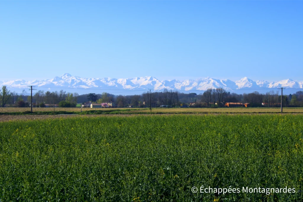 De Rieux-Volvestre au village gaulois - À la sortie du village, les Pyrénées apparaissent, notamment les sommets du Couserans : mont Valier, Maubermé, Barlonguère...