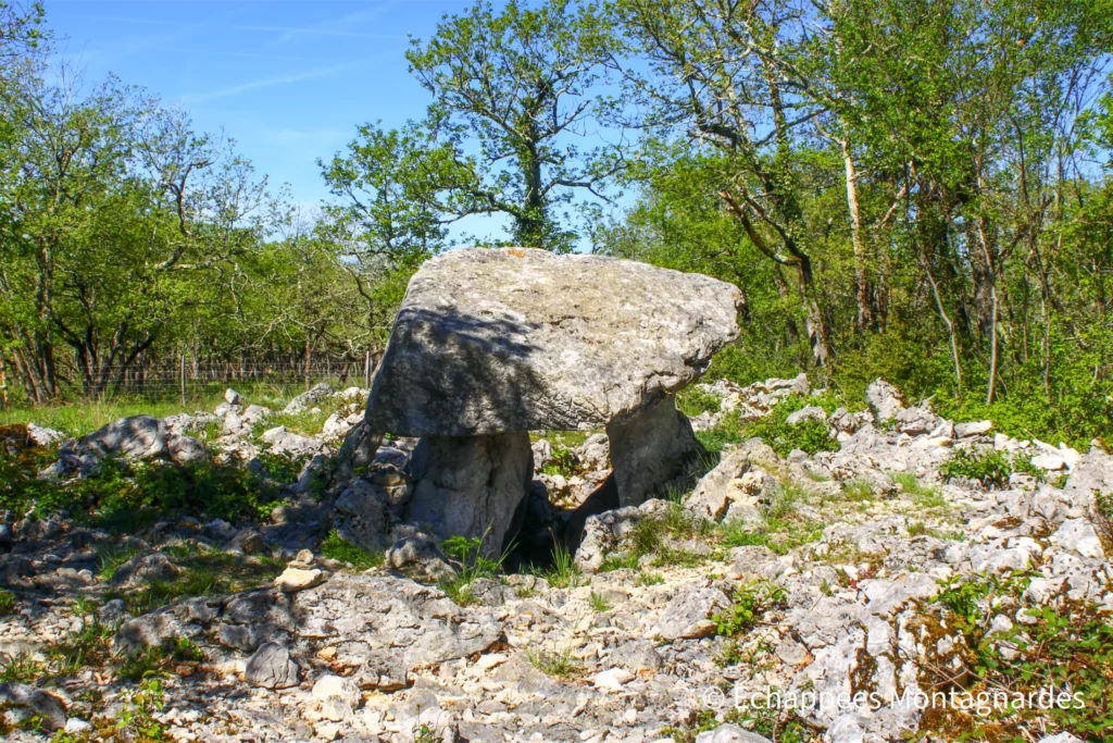 Le dolmen de Seignas