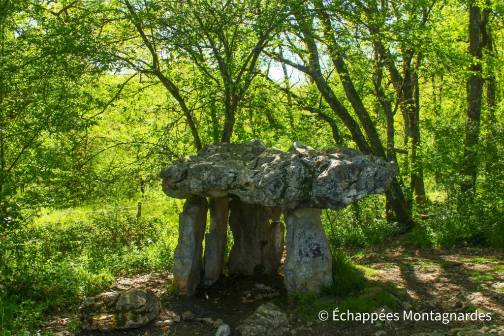 Dernier des trois dolmens : le dolmen du Cap del Pouech