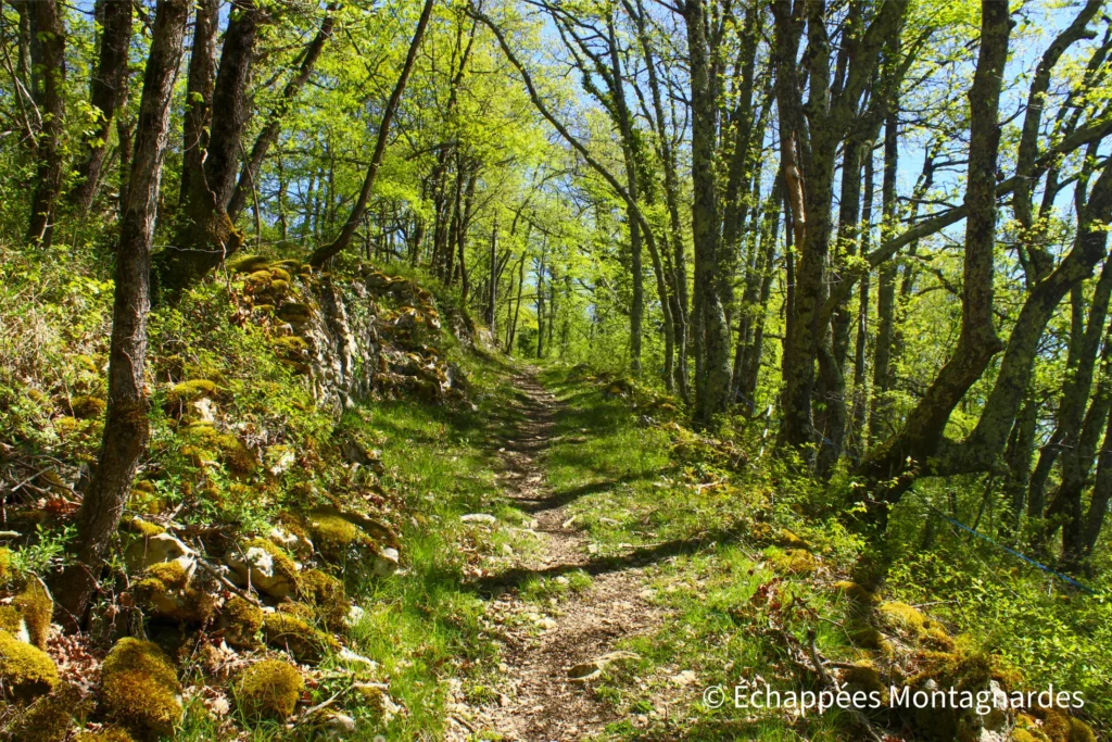 Joli descente boisée. Les sentiers empruntés sont de toute beauté.