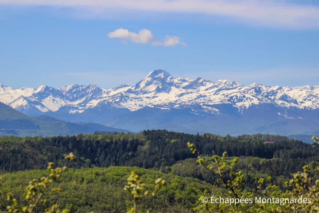 À travers la végétation, j'admire encore régulièrement le Mont Valier et la chaine des Pyrénées...