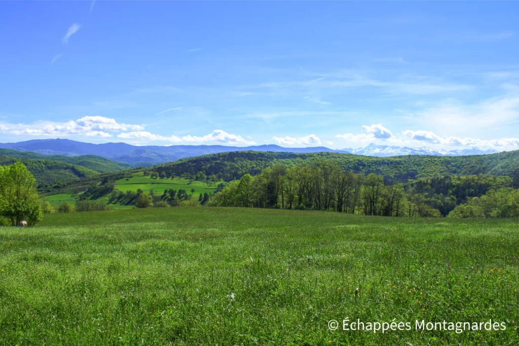 Prairies ariégeoises à l'ambiance printanière. À l'arrière, le massif de l'Arize et le Valier