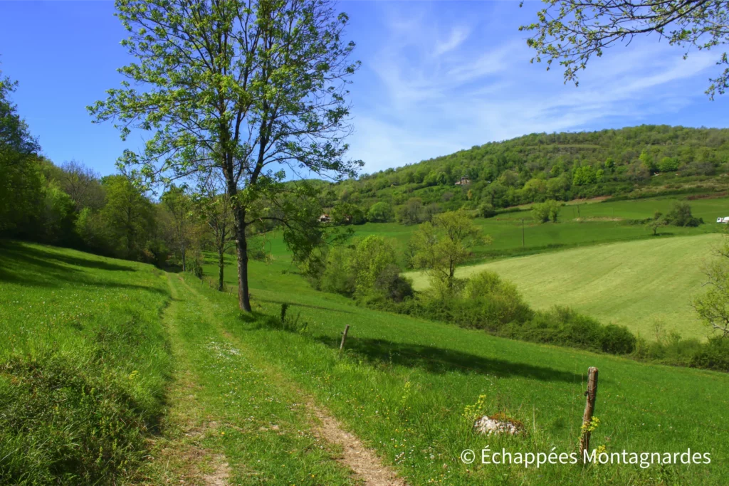 Retour vers le Mas-d'Azil le long de chemins paisibles à travers de superbes prairies et quelques hameaux
