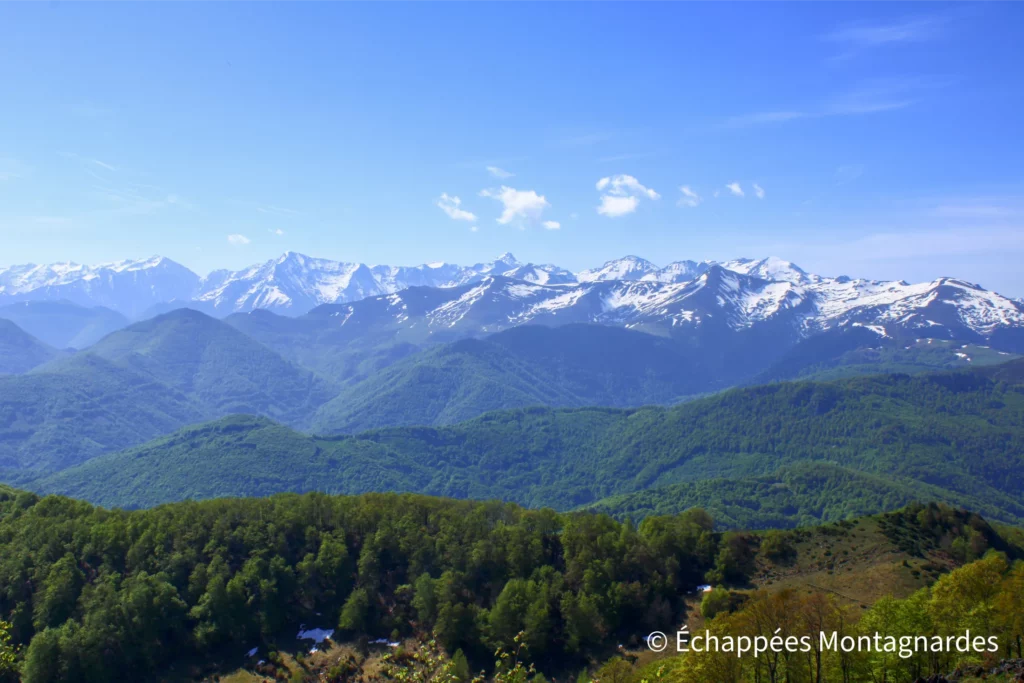 Ce sommet permet d'admirer un large panorama sur les Pyrénées, du pic du Midi de Bigorre au massif des Trois Seigneurs, en passant par l'Aneto, le Maubermé, le Mont Valier et tant d'autres cimes...