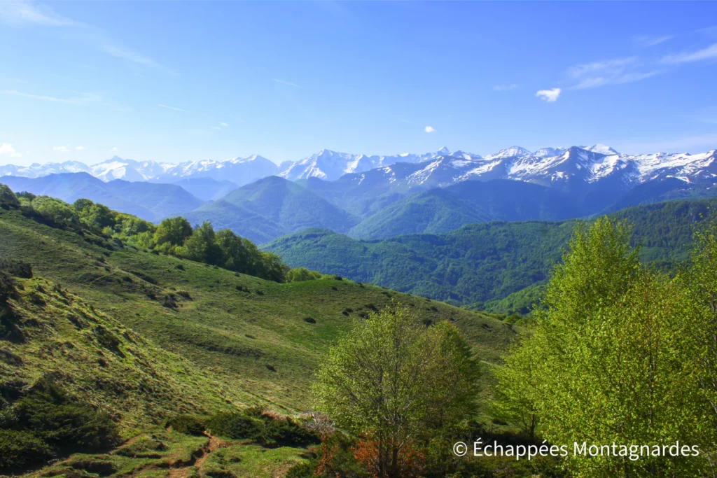 On atteint le col des Passagers (1478 m). Premiers panoramas splendides sur la chaîne des Pyrénées.