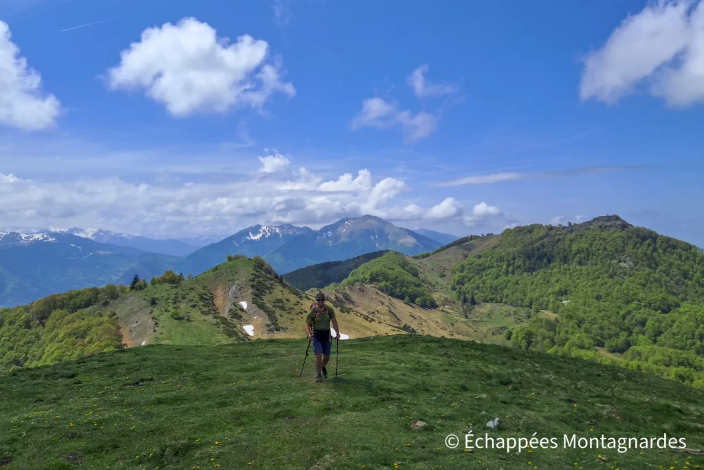 Direction le sommet de Cournudère, toujours sur les crêtes, par le tuc de Haurades et le cap des Teches. À l'arrière, le pic de Paloumère, mais également le Cagire.