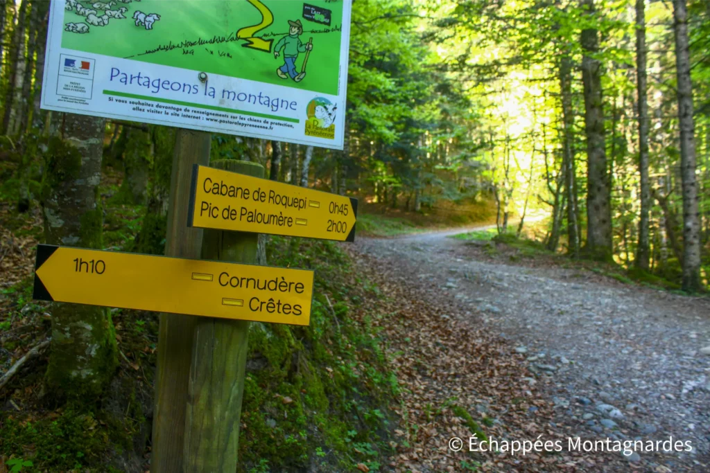 C'est parti pour une superbe journée de randonnée dans les Pyrénées, qui va nous mener vers le pic de Paloumère et les crêtes de Cournudère.