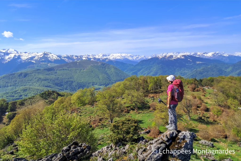 Sommet du pic de Paloumère - ou pic de l'Aube (1608 m).