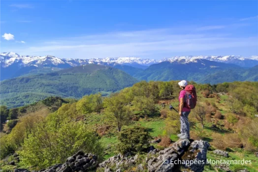 Pic de Paloumère et crêtes de Cournudère : une randonnée de toute beauté face aux Pyrénées