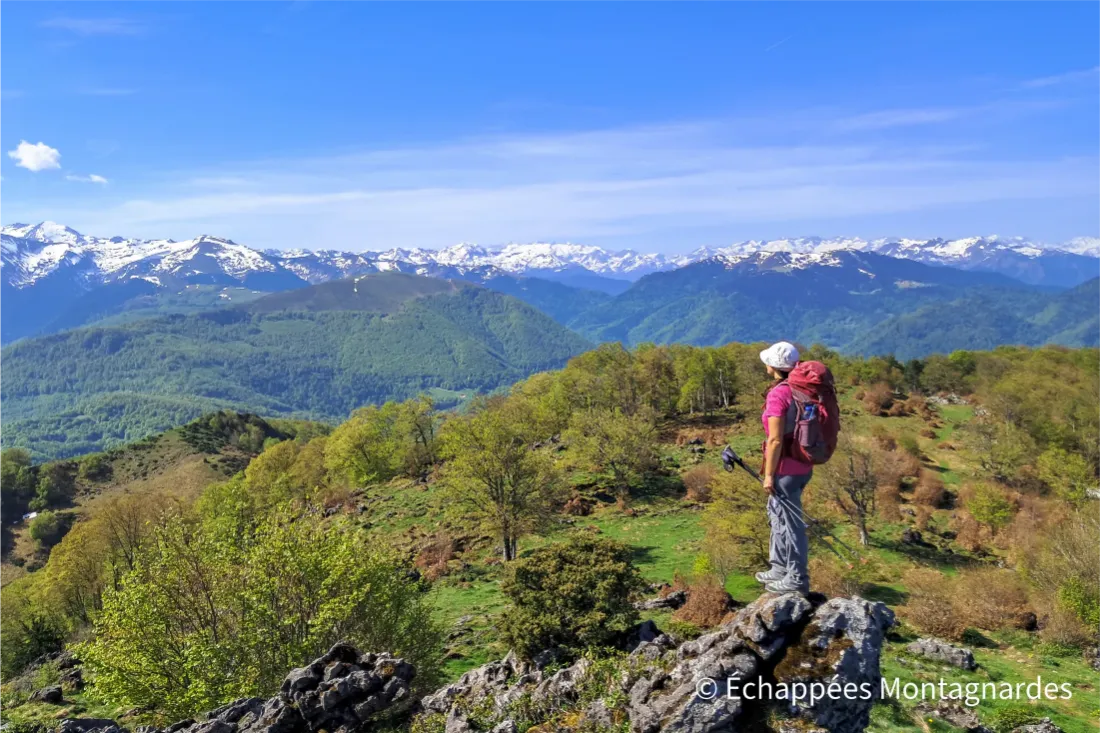 You are currently viewing Pic de Paloumère et crêtes de Cournudère : une randonnée de toute beauté face aux Pyrénées