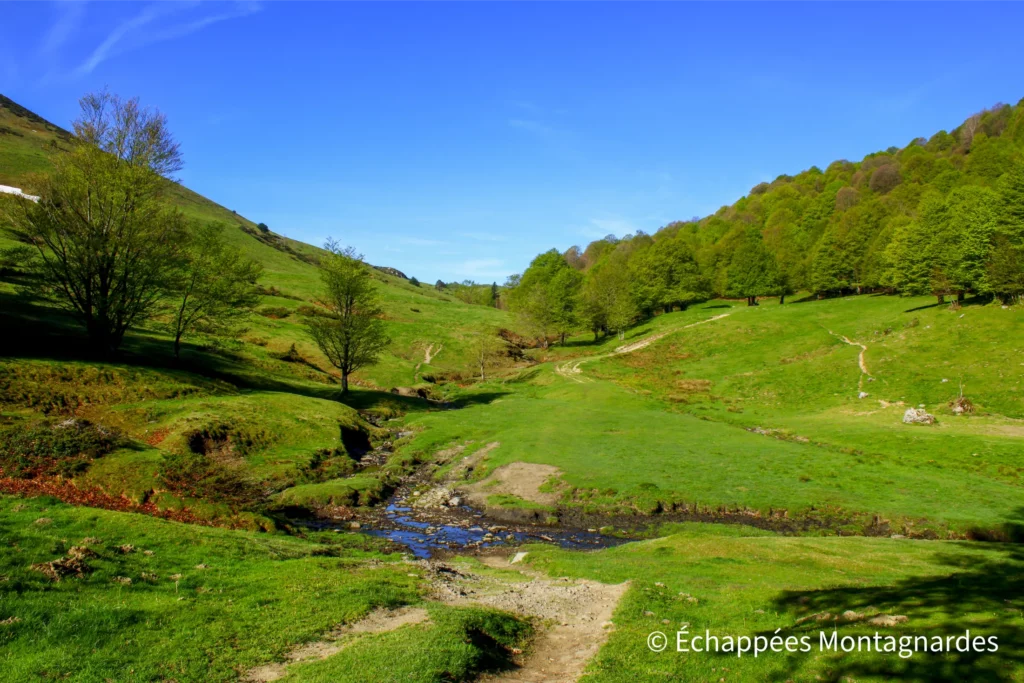 Après un début d'ascension dans les bois, nous poursuivons en direction de la cabane de Roque Pi. Superbe vallon au pied des crêtes.