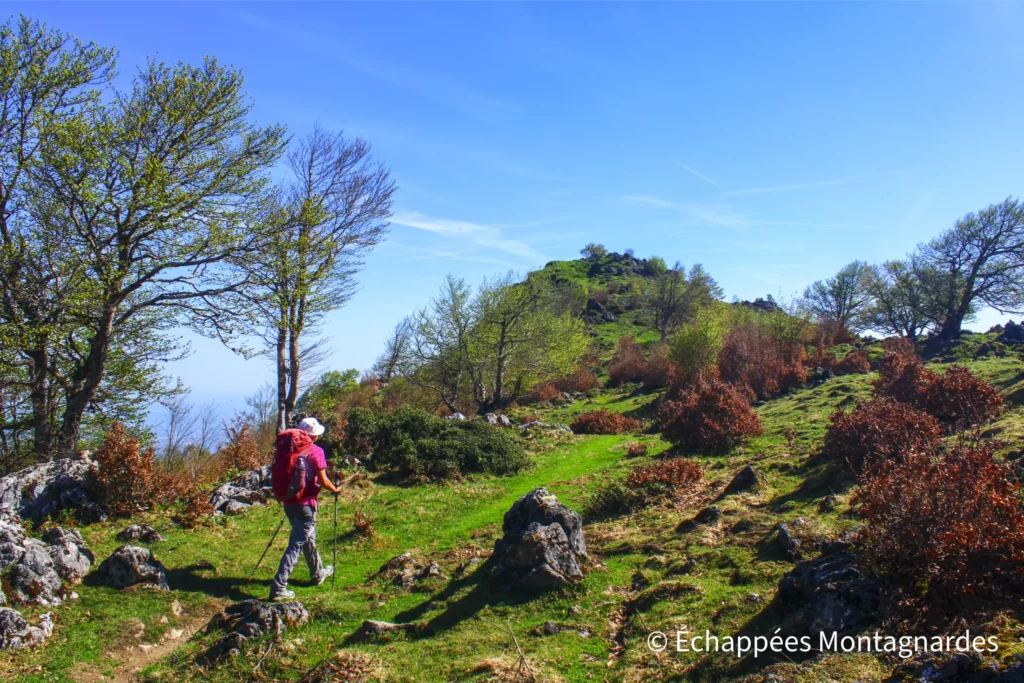 Nous poursuivons le long de la crête, contournons le Tuc de la Casse et grimpons en direction du pic de Paloumère