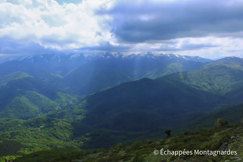 Sommet de Cournudère (1563 m). Encore un paysage merveilleux sur les reliefs du Couserans et leurs forêts enchantées. Le ciel s'est bien couvert, masquant les plus hauts sommets.