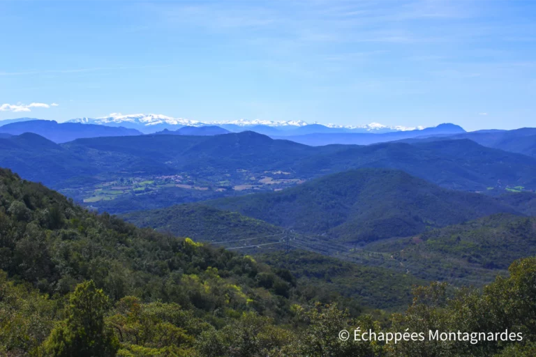 Splendide panorama sur les Pyrénées enneigées, alors que nous approchons du sommet.