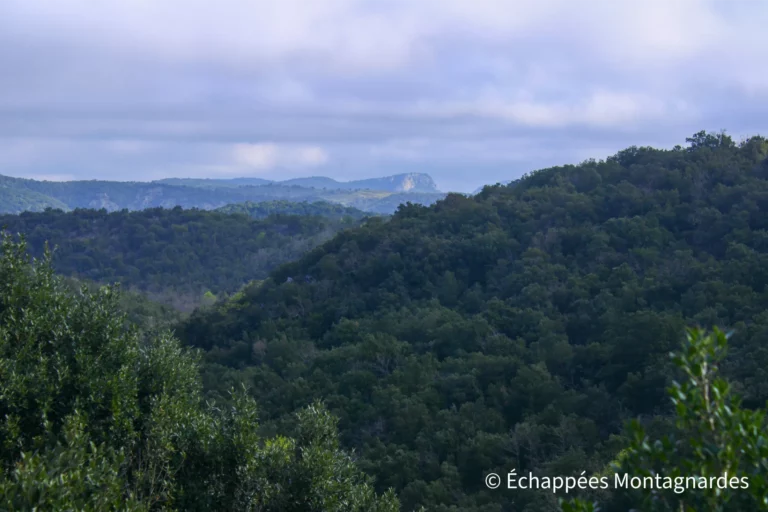 Quelques belles vues en cette dernière étape, plus courte, du tour de la montagne du Tauch. Des chemins paisibles nous ramènent à Laroque-de-Fa.