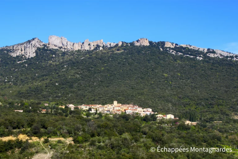 Après un agréable parcours dans les vignes, nous nous dirigeons vers Duilhac-sous-Peyrepertuse, dominé par un autre château mythique !