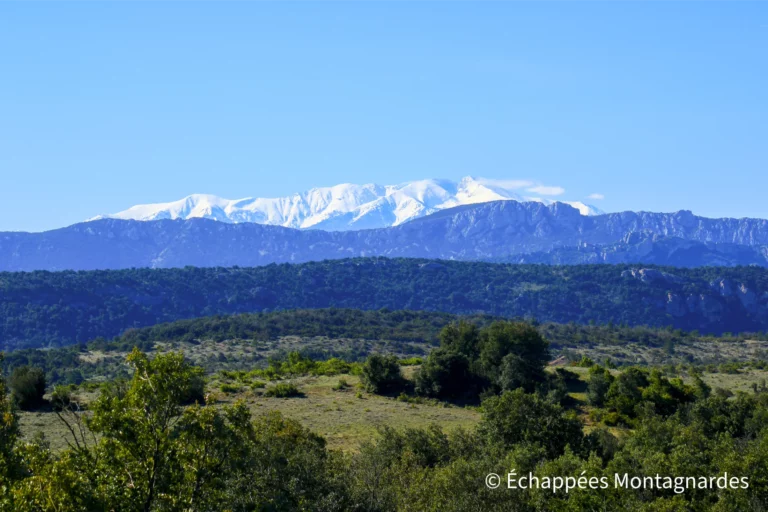 Sur les hauteurs, nous avons déjà le bonheur d'admirer les Corbières et, au loin, le massif du Canigou bien enneigé.