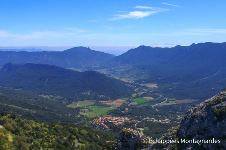 Panorama vers Duilhac, la vallée du Verdouble et le château de Quéribus depuis Peyrepertuse.