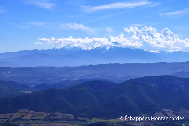 Le Canigou, seulement habillé de quelques cumulus, et de son manteau neigeux qui a repris de l'épaisseur tout récemment.