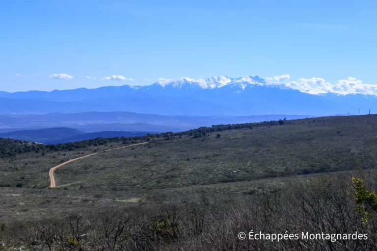 Le mont Tauch est un formidable belvédère naturel sur le massif du Canigou.