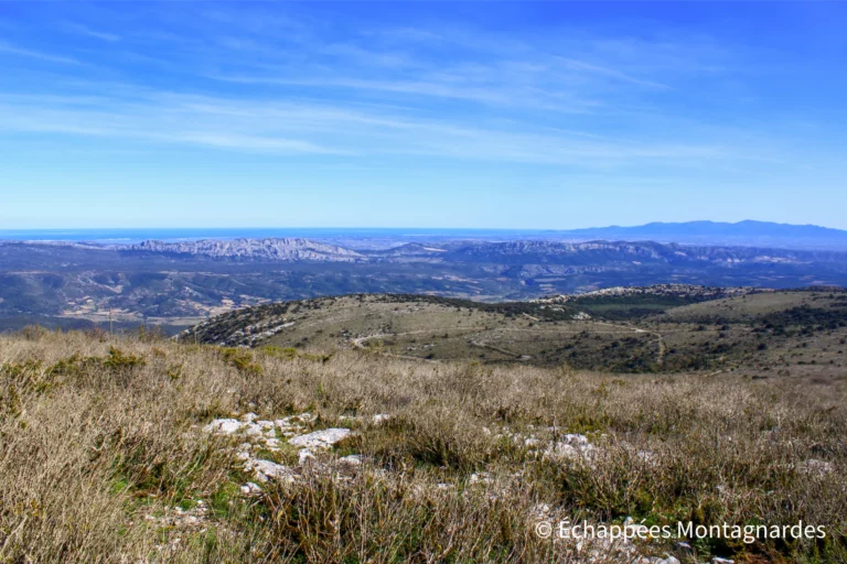 Vue vers le littoral méditerranéen. Quel splendide paysage !
