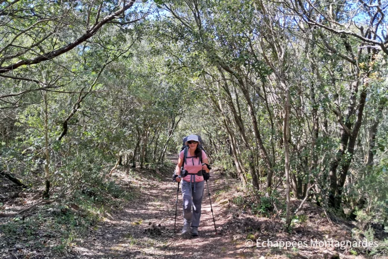 Sous les chênes verts, au cœur de la garrigue audoise.