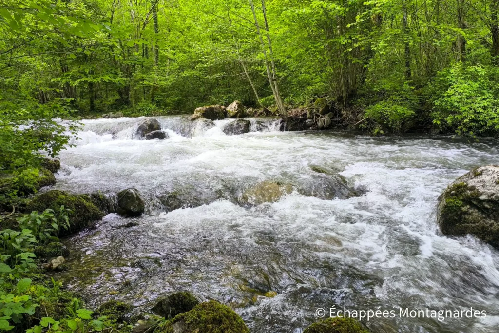 Ruisseau de la Courbière