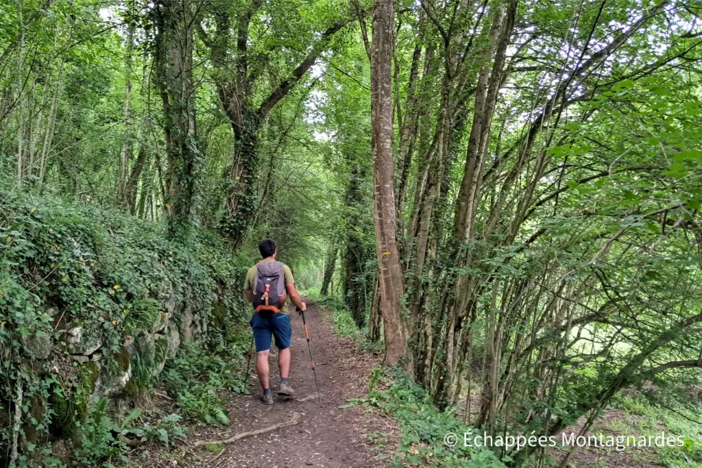 Retour vers Bédeilhac, et encore de superbes sentiers... Les chants des oiseaux nous accompagnent jusqu'au terme de cette magnifique randonnée.