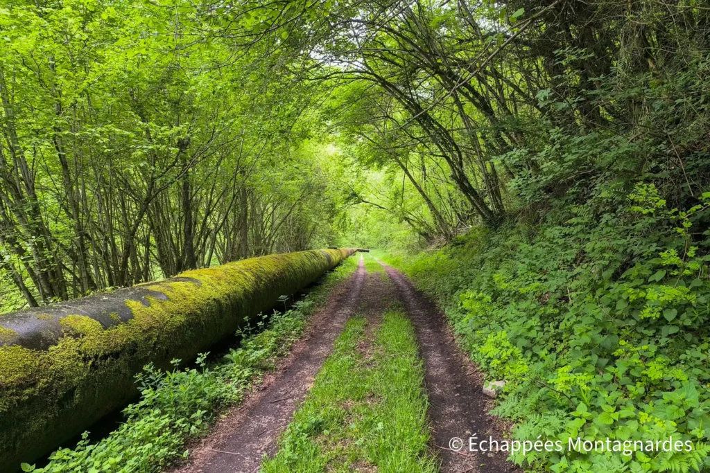 Vallée de la Courbière. Le ruisseau coule bruyamment, alors que nous suivons la conduite forcée menant à une centrale un peu plus bas.
