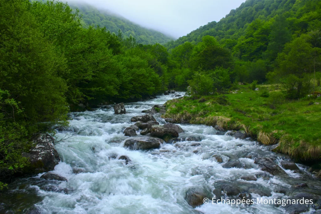 Ruisseau des Cors, en contrebas du parking : la boucle est bouclée. Quelle aventure magnifique !