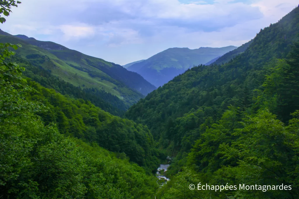 Randonnée lac Bleu de Lesponne - Paysages forestiers de la vallée de Lesponne. Nous suivons l'Adour de Lesponne à travers la vallée et rejoignons le parking au Chiroulet, en fin d'après-midi. Quelle journée magnifique !