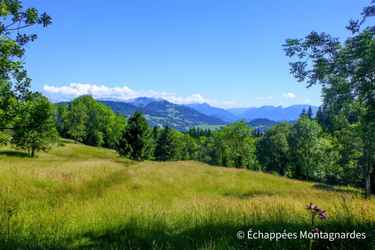 Fin de cette première étape de ma traversée des Alpes sur le GR®5. Le Chablais me propose déjà de magnifiques paysages...