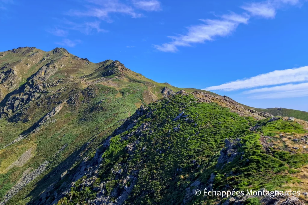 Sur cette crête, le sentier est par moments peu dessiné, à travers la végétation basse. Je poursuis l'ascension vers le pic de Soularac.