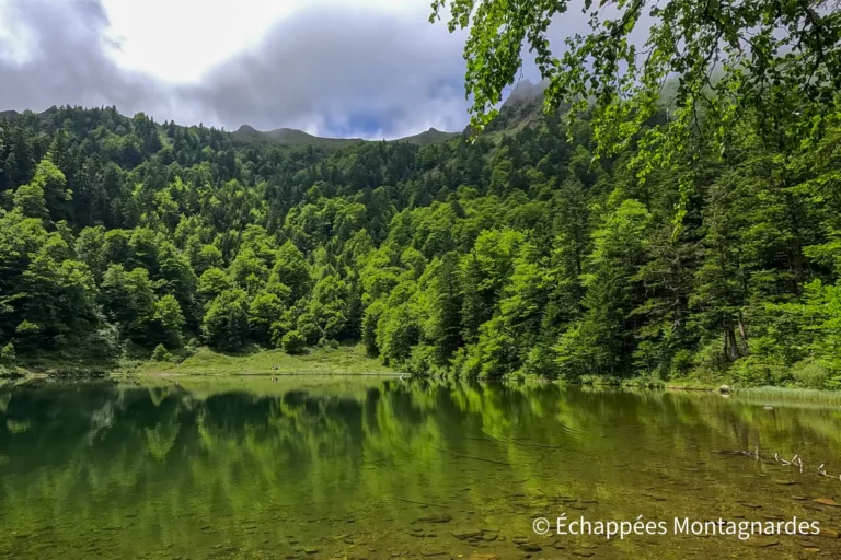 Reflets sur l'étang de Guzet