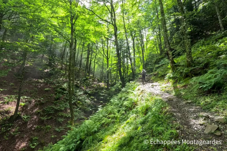 Le soleil apparait alors que nous grimpons en direction de l'étang de Guzet.
