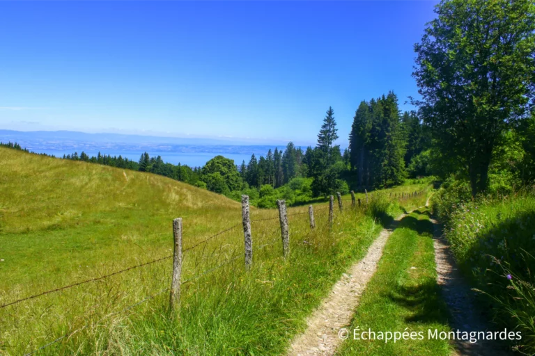 De beaux chemins colorés m'emmènent vers les prochains sommets du Chablais, avec toujours un regard sur le lac Léman