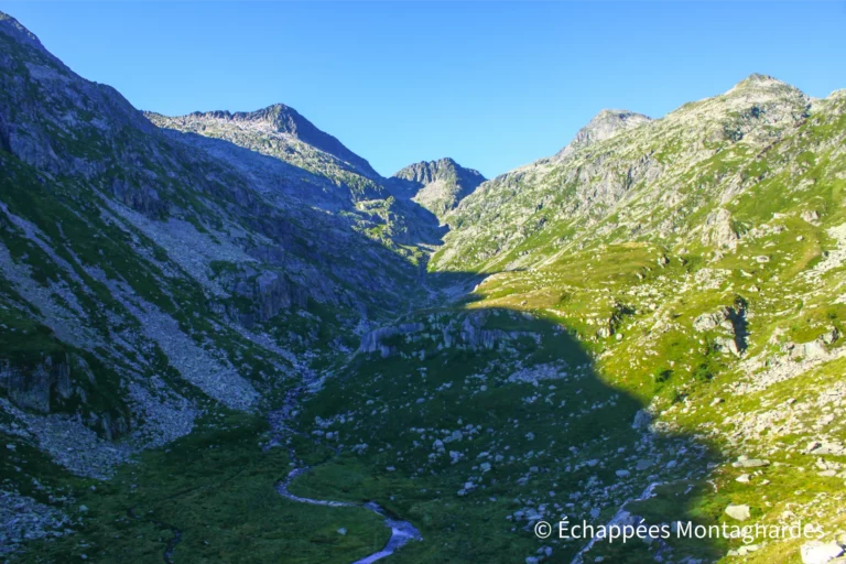 Le sentier s'élève sur le flanc ouest de la vallée. Nous admirons les sommets frontaliers et entendons les troupeaux de brebis qui passent l'été dans ce secteur.