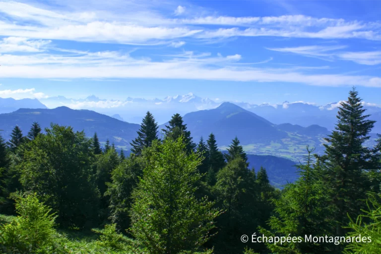 Panorama sur le massif du Mont-Blanc et les Alpes sur les hauteurs des Voirons