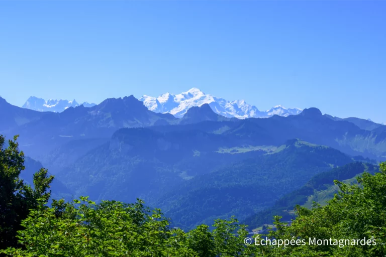 Première ascension majeure de cette deuxième étape de la traversée des Alpes : le Mont Forchat (1539 m). Au sommet, un panorama à 360 degrés et une vue fantastique sur le Mont-Blanc.
