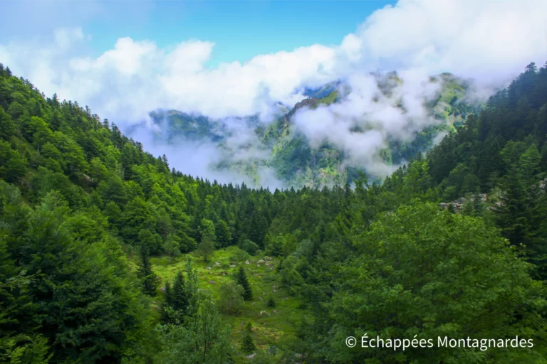 Nous poursuivons cette première étape sur le GR®10 dans une jolie ambiance. Que l'Ariège est belle !