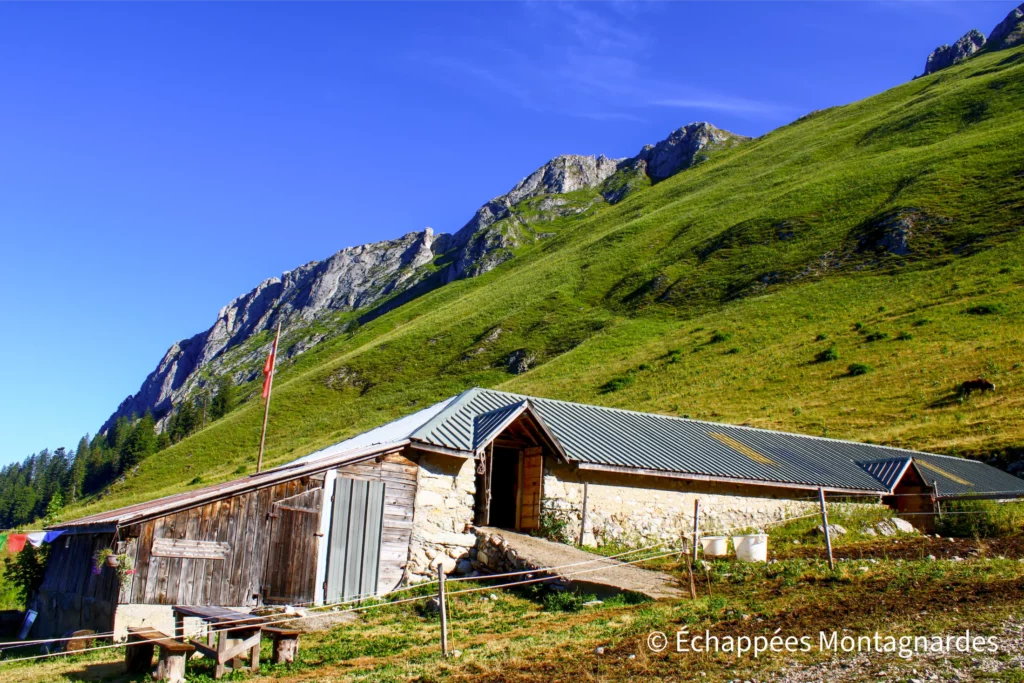 Sortis de la forêt, nous poursuivons dans les alpages avant d'atteindre les Chalets d'Oche.