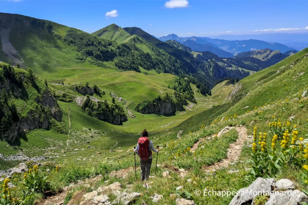 Après le col, les difficultés majeures sont derrière nous. Un beau sentier en lacets, traversant les alpages, nous ramène vers les Chalets d'Oche.