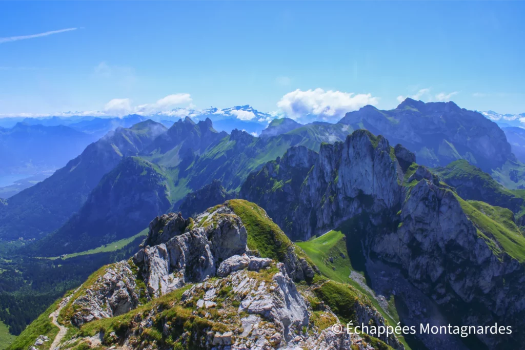 Sommet de la Dent d'Oche ! Après tant d'intensité, nous pouvons désormais profiter d'un panorama à 360° exceptionnel. Ici sur les Cornettes de Bise et le Valais.
