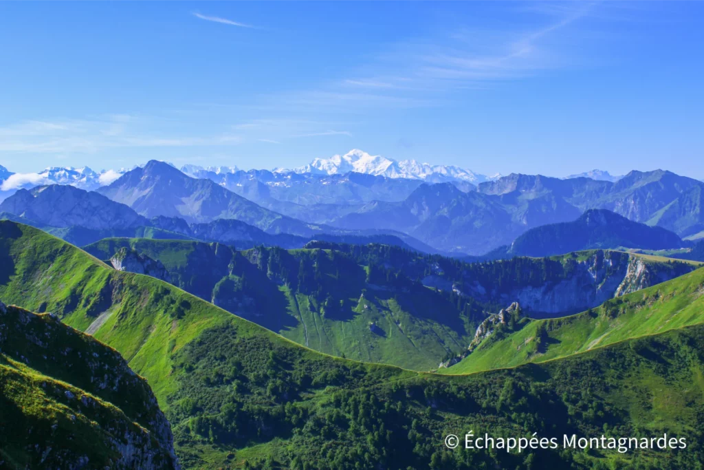 L'horizon s'ouvre peu à peu, et nous admirons de nombreux sommets alpins, du Chablais bien sûr mais aussi bien au-delà : voici notamment le merveilleux Mont-Blanc !